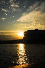 DSC_6305.jpg