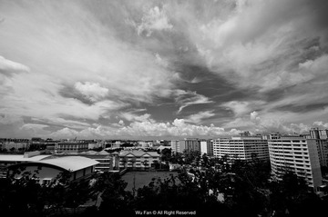 DSC_7881.jpg