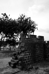 DSC_9593.jpg