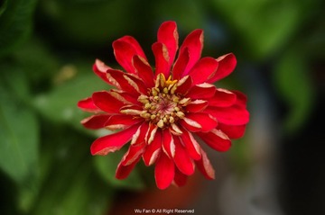 DSC_0755.jpg