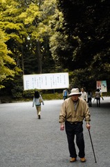 明治神宫9.jpg