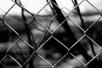 DSC_2064.jpg