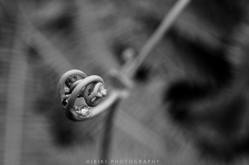 DSC_4663.jpg