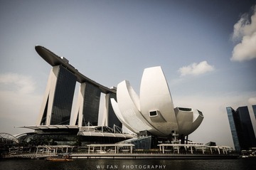DSC_8967wf.jpg