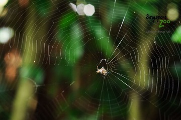 DSC_7844.jpg