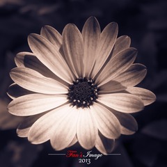 DSC_6040.jpg