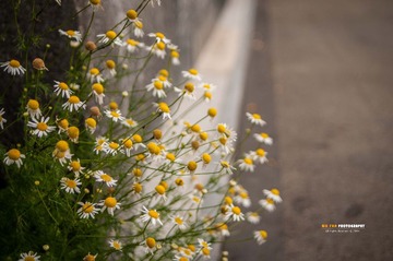 DSE_0328