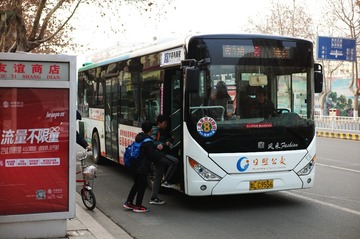 252739