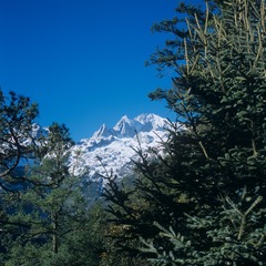 966359
