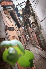 IMG_2224.jpg