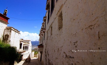IMG_8601TAG.jpg
