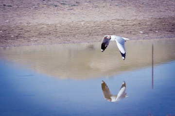 IMG_9171.jpg
