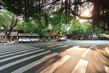 IMG_8174.jpg