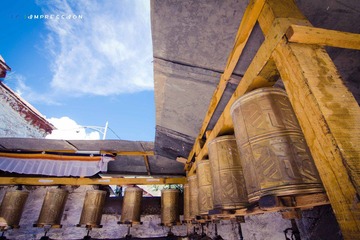 IMG_8598.jpg