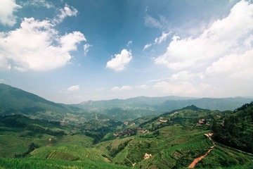 IMG_9155.jpg