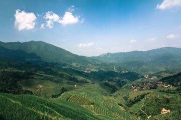 IMG_9163.jpg