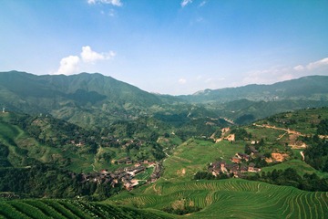 IMG_9166.jpg