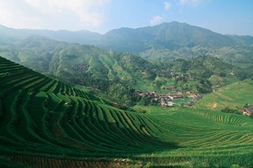 IMG_9177.jpg