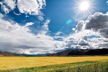 IMG_9126.jpg