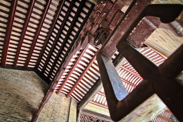IMG_0310.jpg