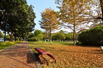 IMG_17621.jpg