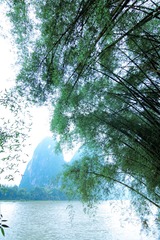 IMG_8066.jpg