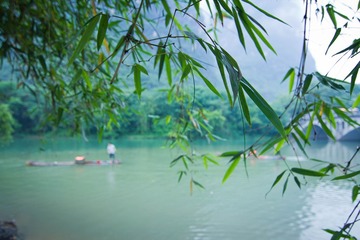 IMG_8114.jpg