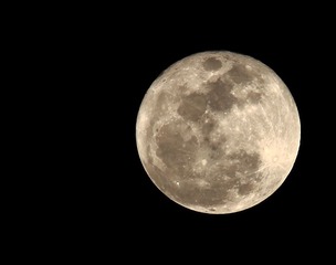 IMG_7378big