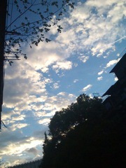 IMG_20120810_182943.jpg