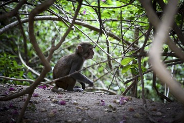 IMG_3634.jpg