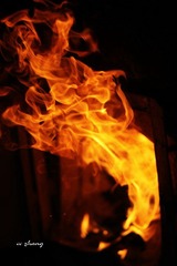 IMG_2179.JPG