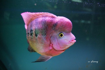 IMG_3767.JPG