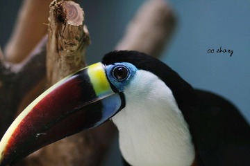 IMG_4227.JPG