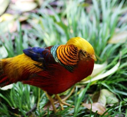 IMG_4183.JPG
