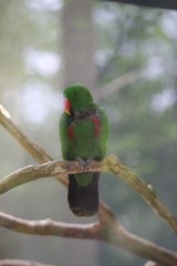 IMG_4248.JPG