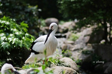 IMG_4327.JPG