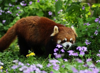 IMG_4400.JPG