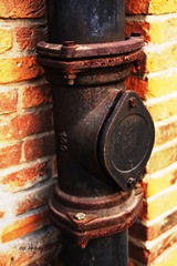 IMG_4658.JPG