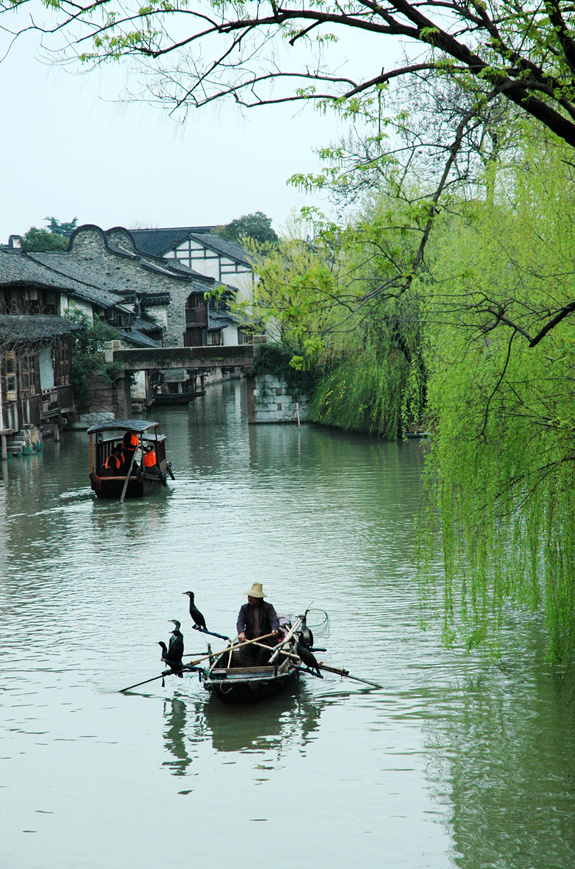 垂柳依依小桥流水怡然自得