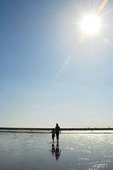 _DSC3222