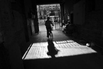_DSC5113