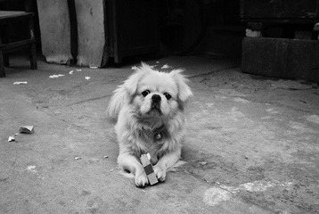 _DSC0512