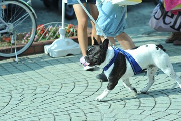 DSC_1111.JPG