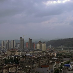 1203017