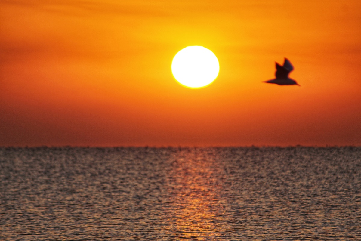 南戴河的日出金色时刻祝国庆中秋双节愉快