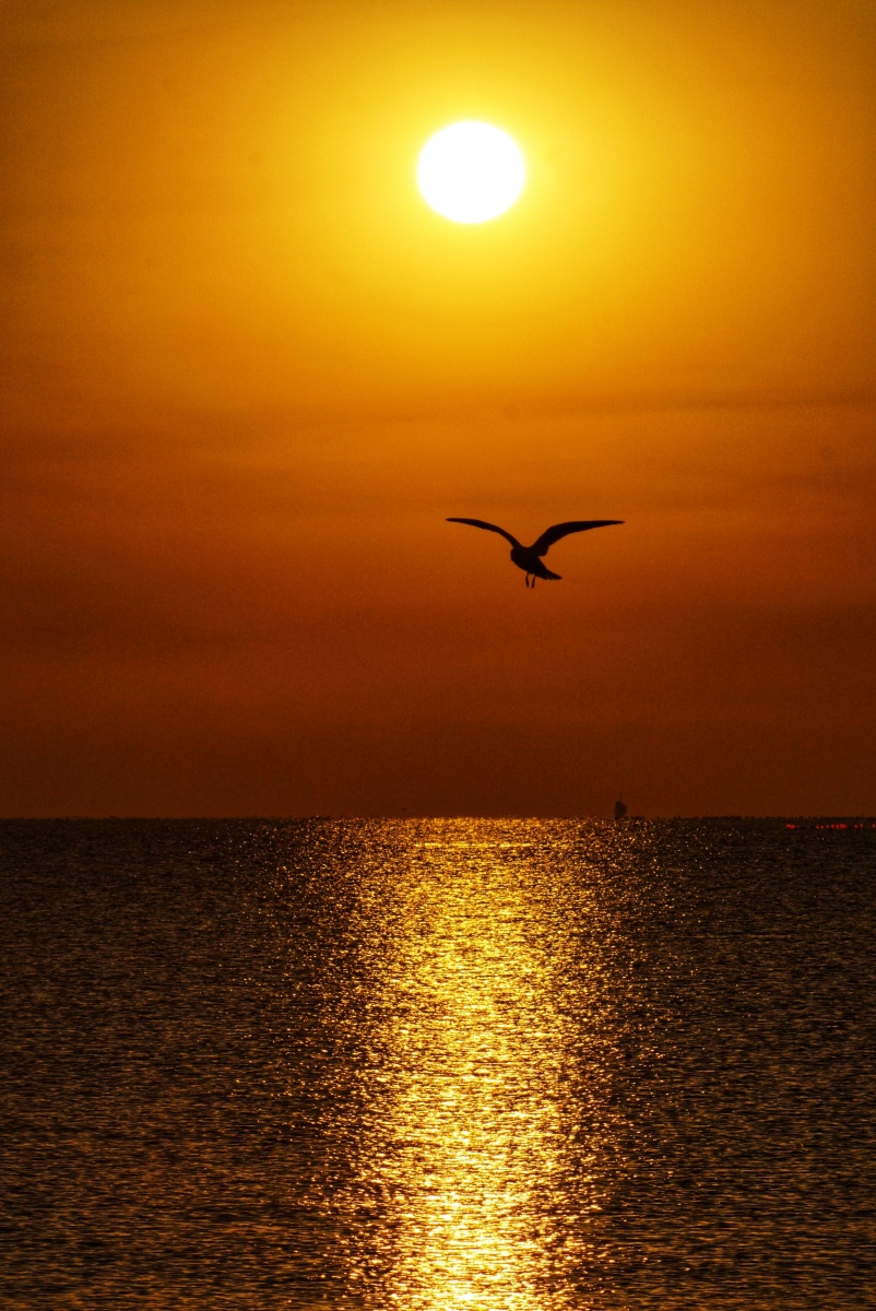 南戴河的日出金色时刻祝国庆中秋双节愉快