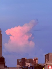 18061