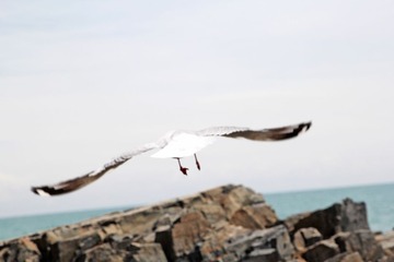 IMG_8337.jpg