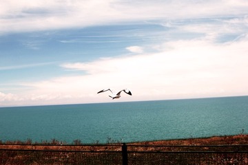 IMG_844322.jpg