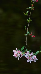 10063802